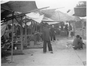 Hong Kong Run Ashore 6